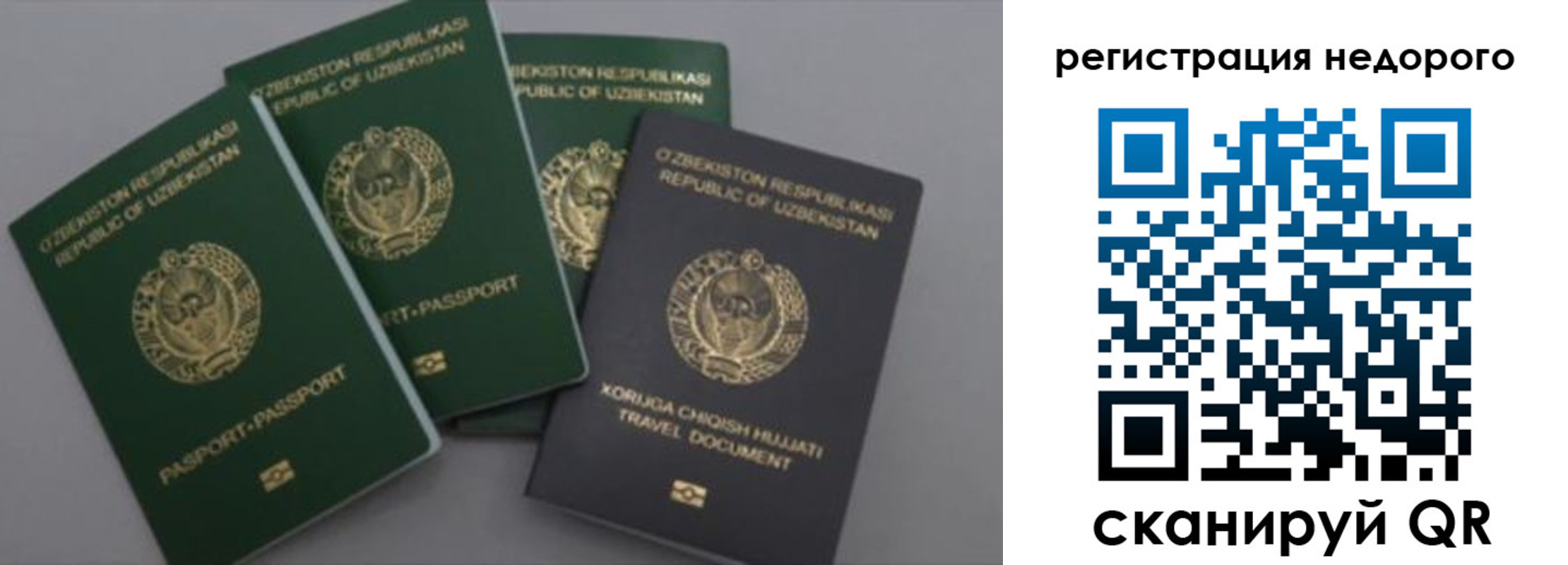 пропишу в квартире в Свободном